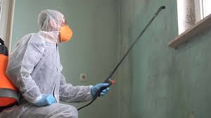 Best Mold Prevention Services  in East Freehold, NJ